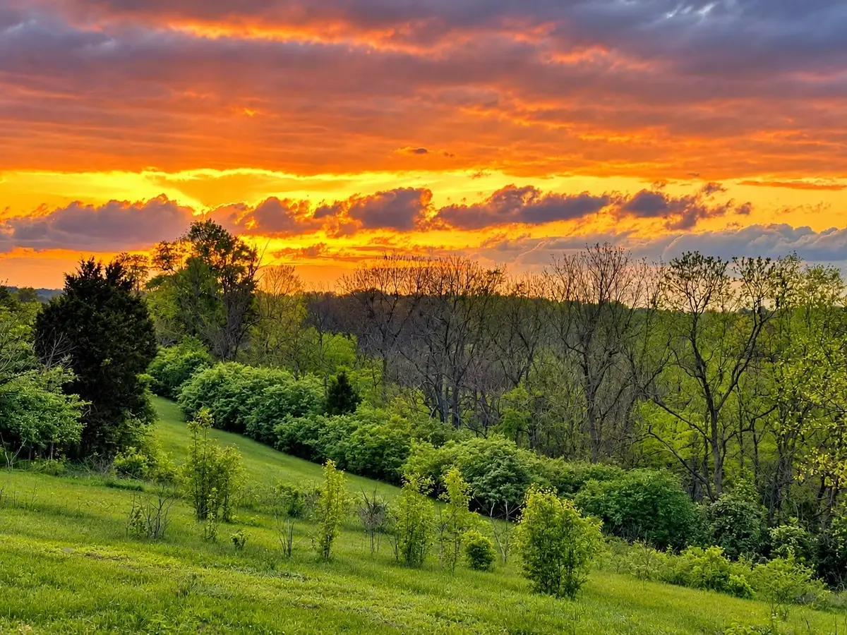 356 Prestwick Circle #Lot 165, Richmond, KY 40475 - #1