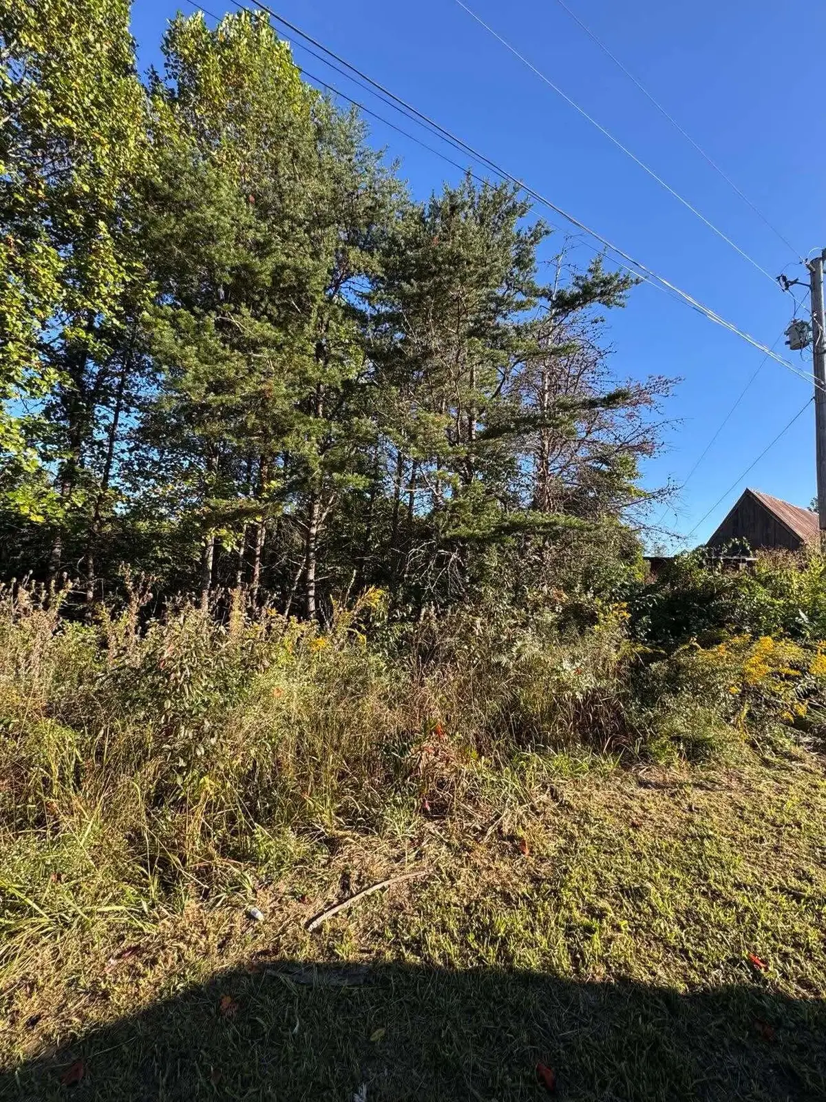 0 Turkey Ridge Road #Lot 38, Wellington, KY 40387 - #1