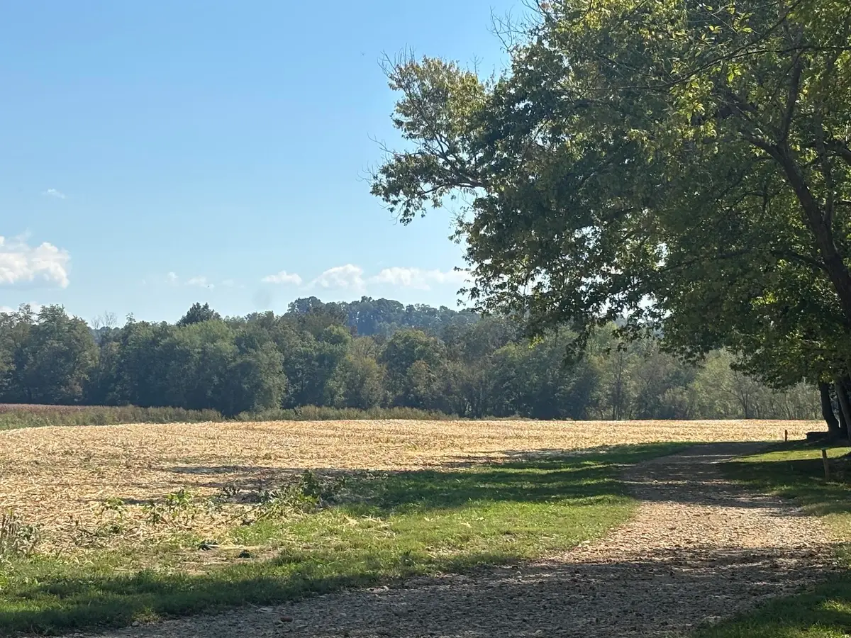 2144 Green River Valley Road, Liberty, KY 42539 - #1