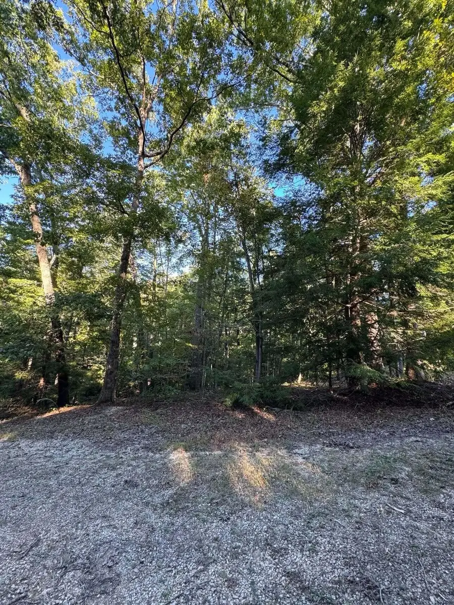 0 Turkey Ridge Road #Lot 50, Wellington, KY 40387 - #2