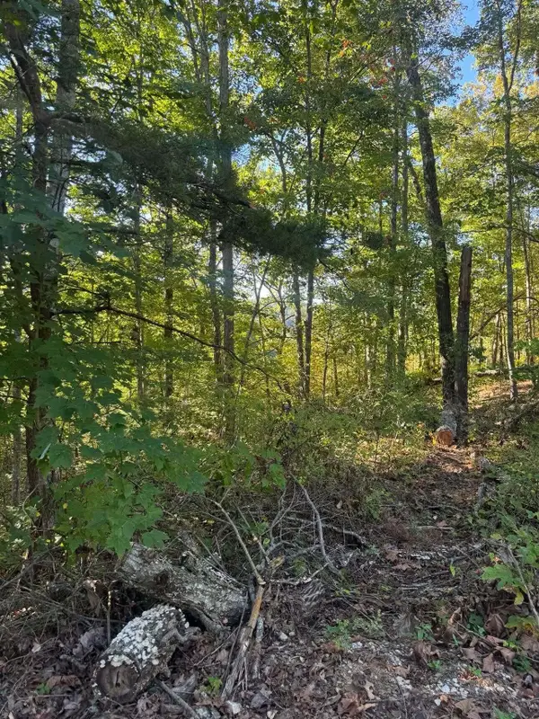 0 Ivy Lane #Lot 80, Wellington, KY 40387
