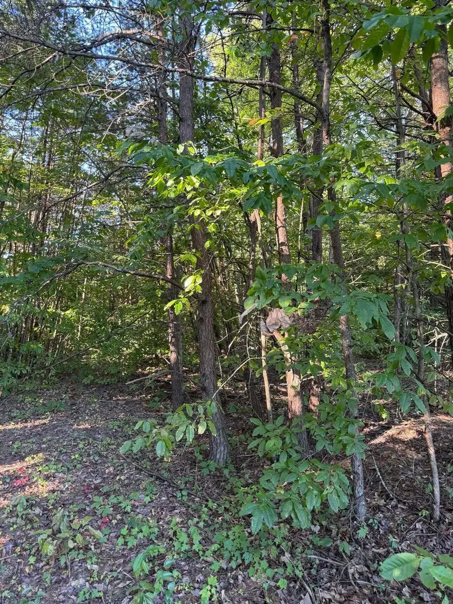 0 Ivy Lane #Lot 80, Wellington, KY 40387 - #3