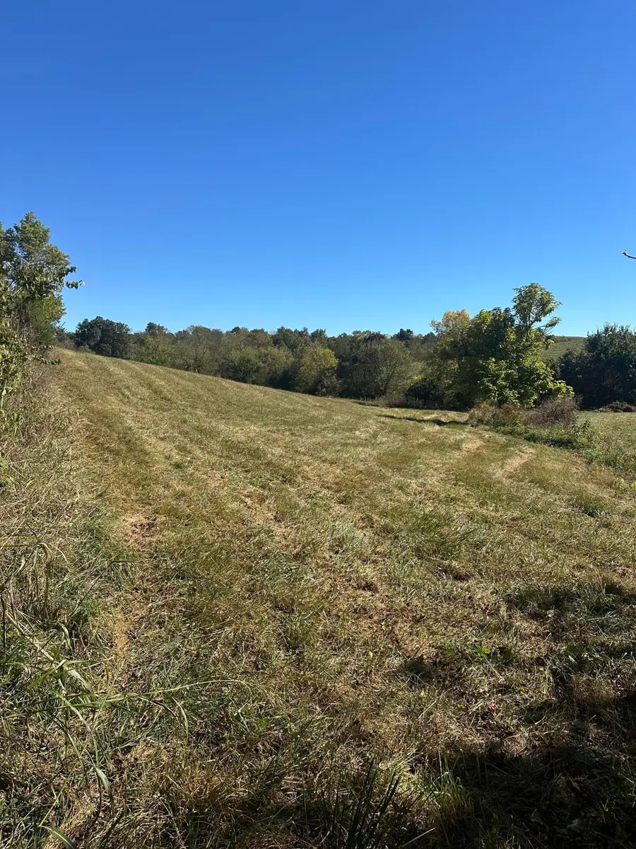 358 Bobtown Garnett Road, Cynthiana, KY 41031 - #3