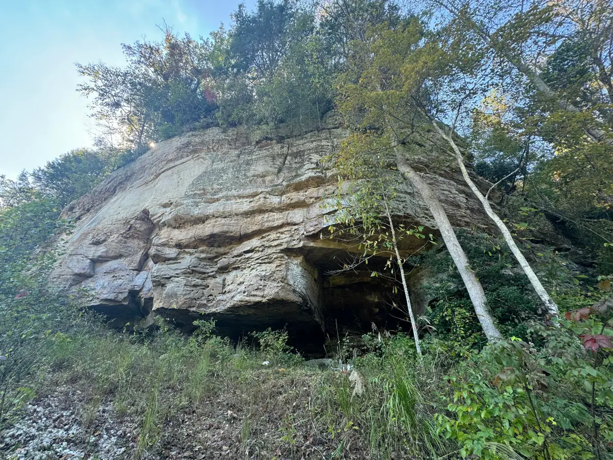 299 Gold Mine Road, Pine Ridge, KY 41360 - #1