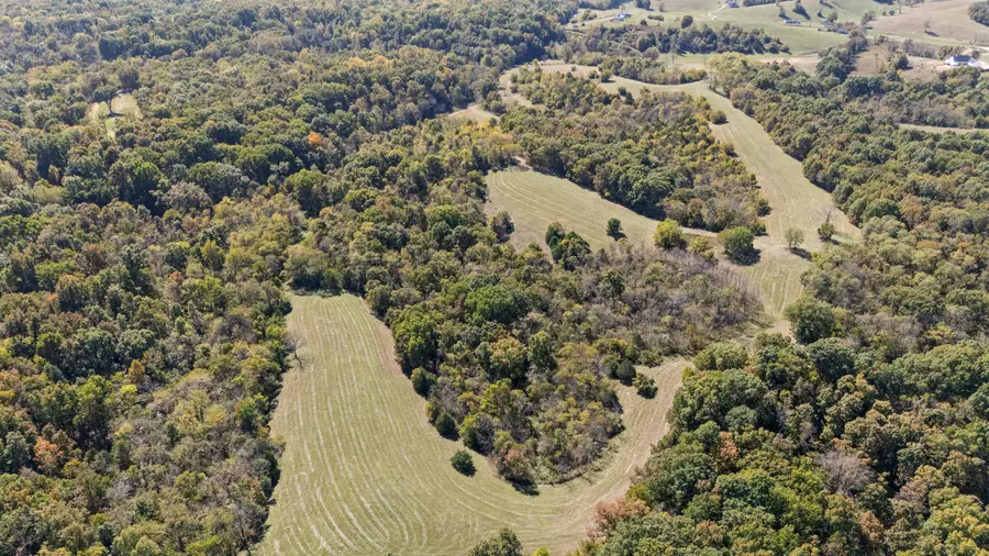1623 Burton Pike, Georgetown, KY 40324 - #3