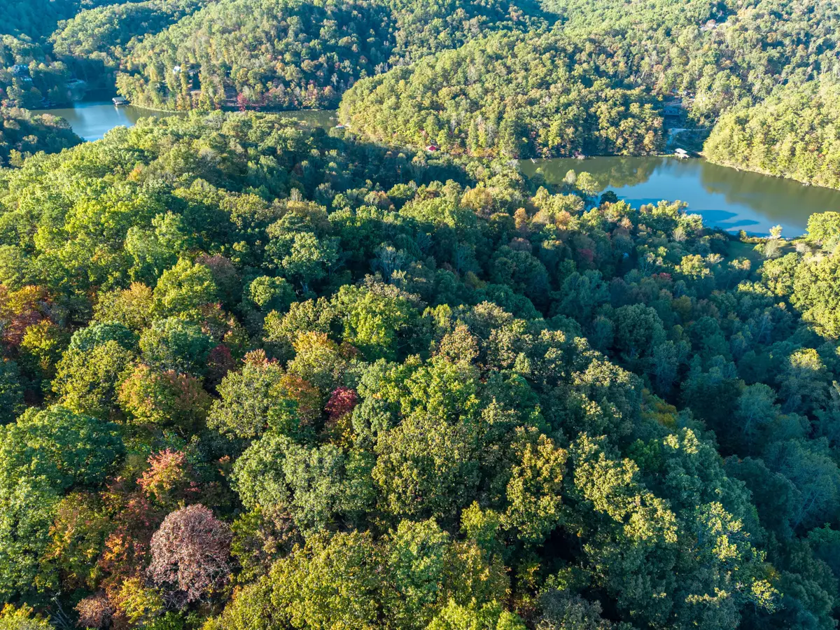 Lot 45-47 Left Fork Fishermans Cove Road, London, KY 40741 - #1