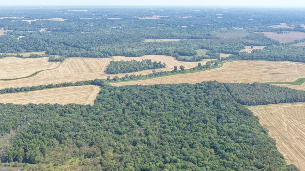 0 State Route 301, Hickory, KY 42051 - #1