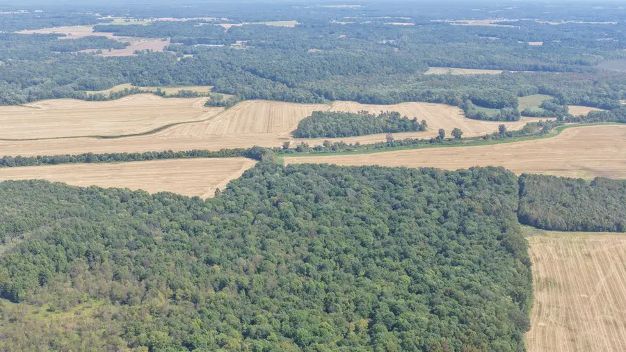 0 State Route 301, Hickory, KY 42051 - #3