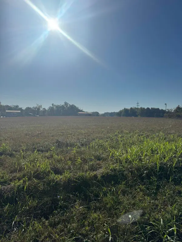 462 Reese Road, Russell Springs, KY 42642