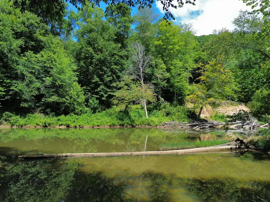139 Kilbreth Lane, Garrison, KY 41141 - #2
