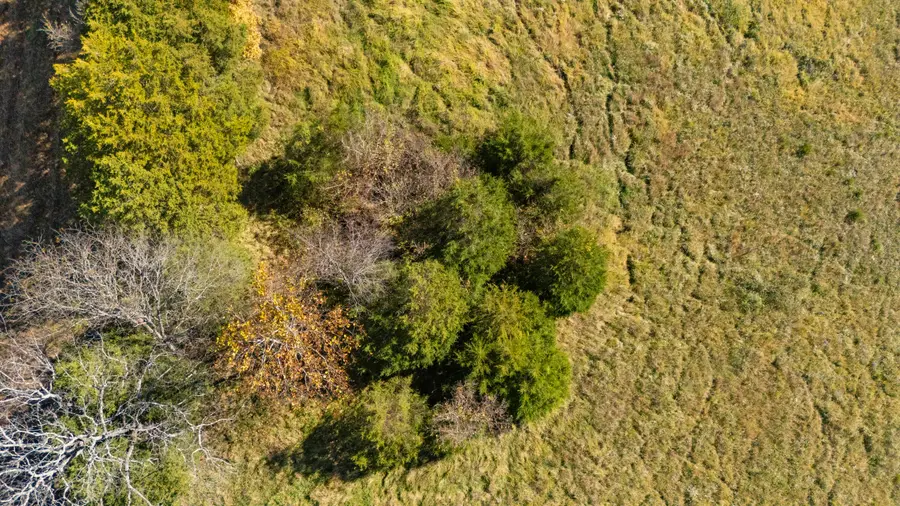 4155 Camp Pleasant Road, Frankfort, KY 40601 - #2