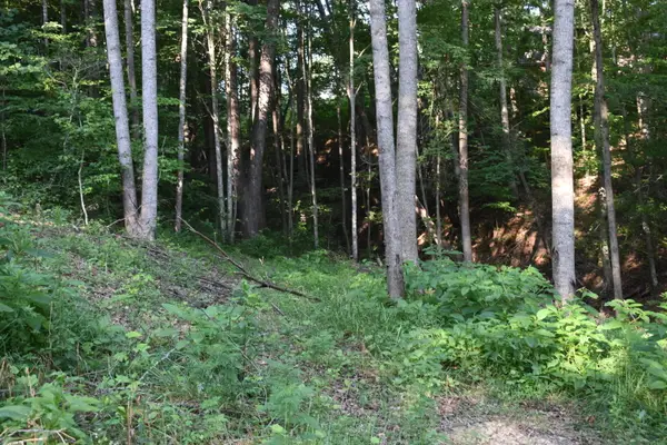 60 Lakewood Drive, Morehead, KY 40351