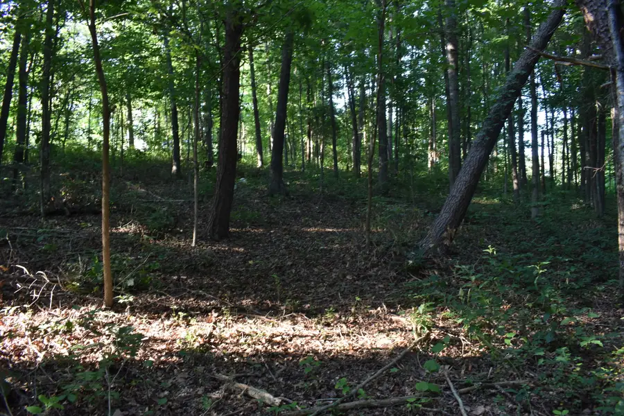 60 Lakewood Drive, Morehead, KY 40351 - #3