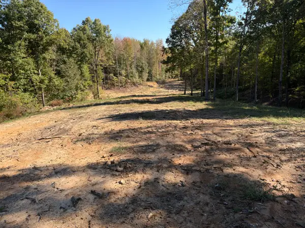 0 Workman Cemetery Rd, Dukedom, TN 38226