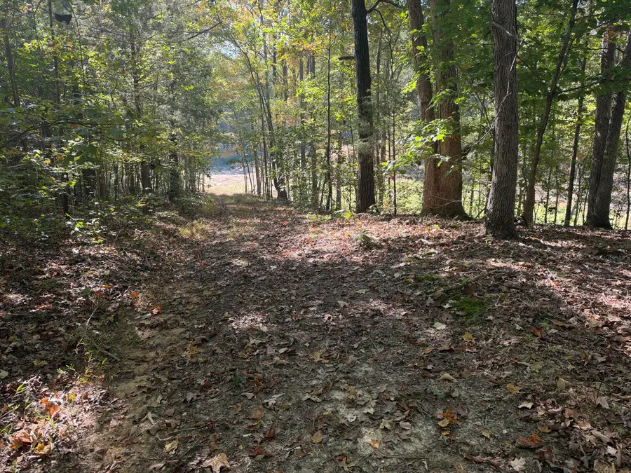 0 Workman Cemetery Rd, Dukedom, TN 38226 - #2