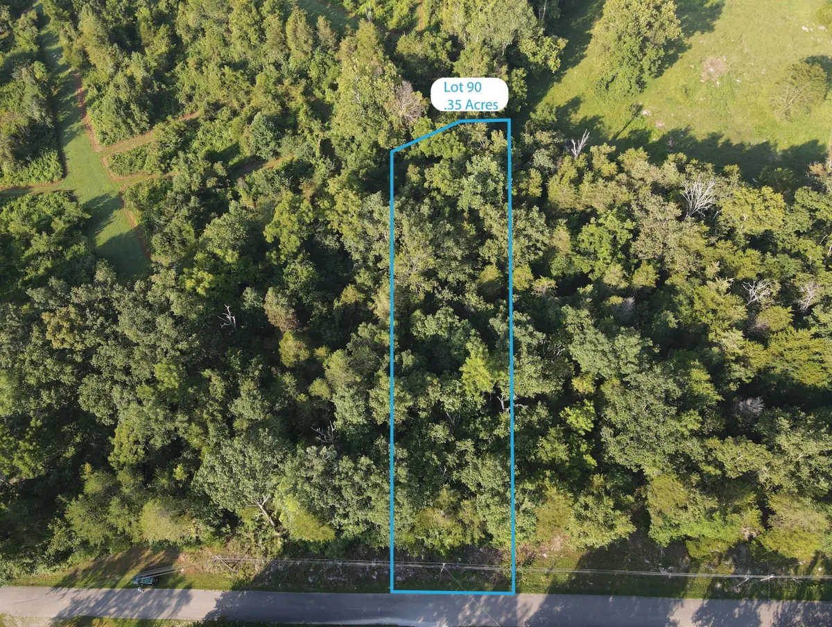 Lot 90 Lakeshore Drive, Burnside, KY 42519 - #1