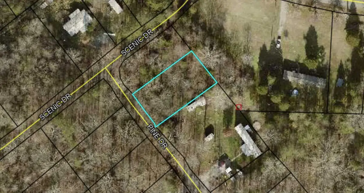 Lot 205 Pine Dr, Burnside, KY 42519 - #1