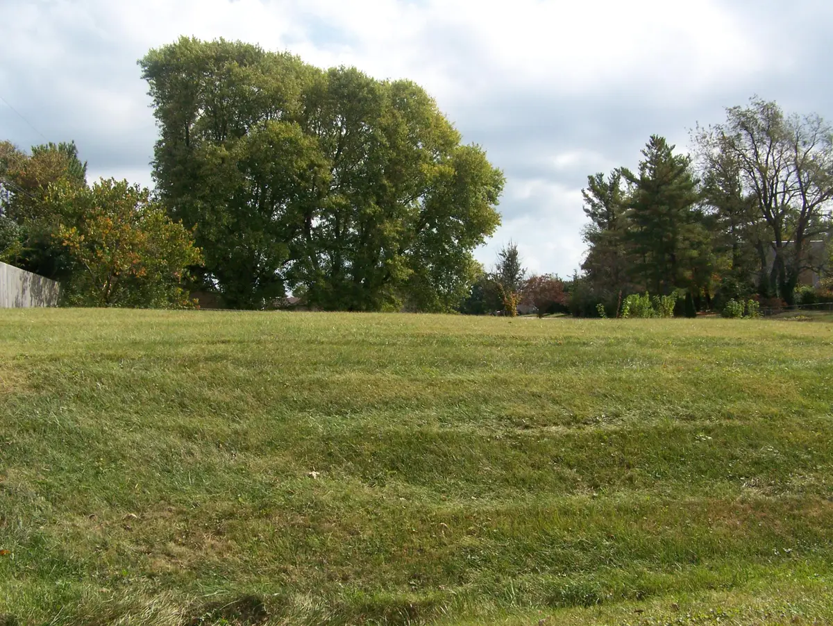 1201 Lark Avenue, Mount Sterling, KY 40353 - #1