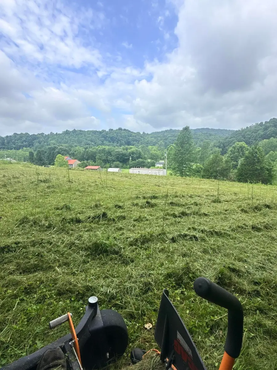 95 Sallies Garden Lane, Mount Vernon, KY 40456 - #2