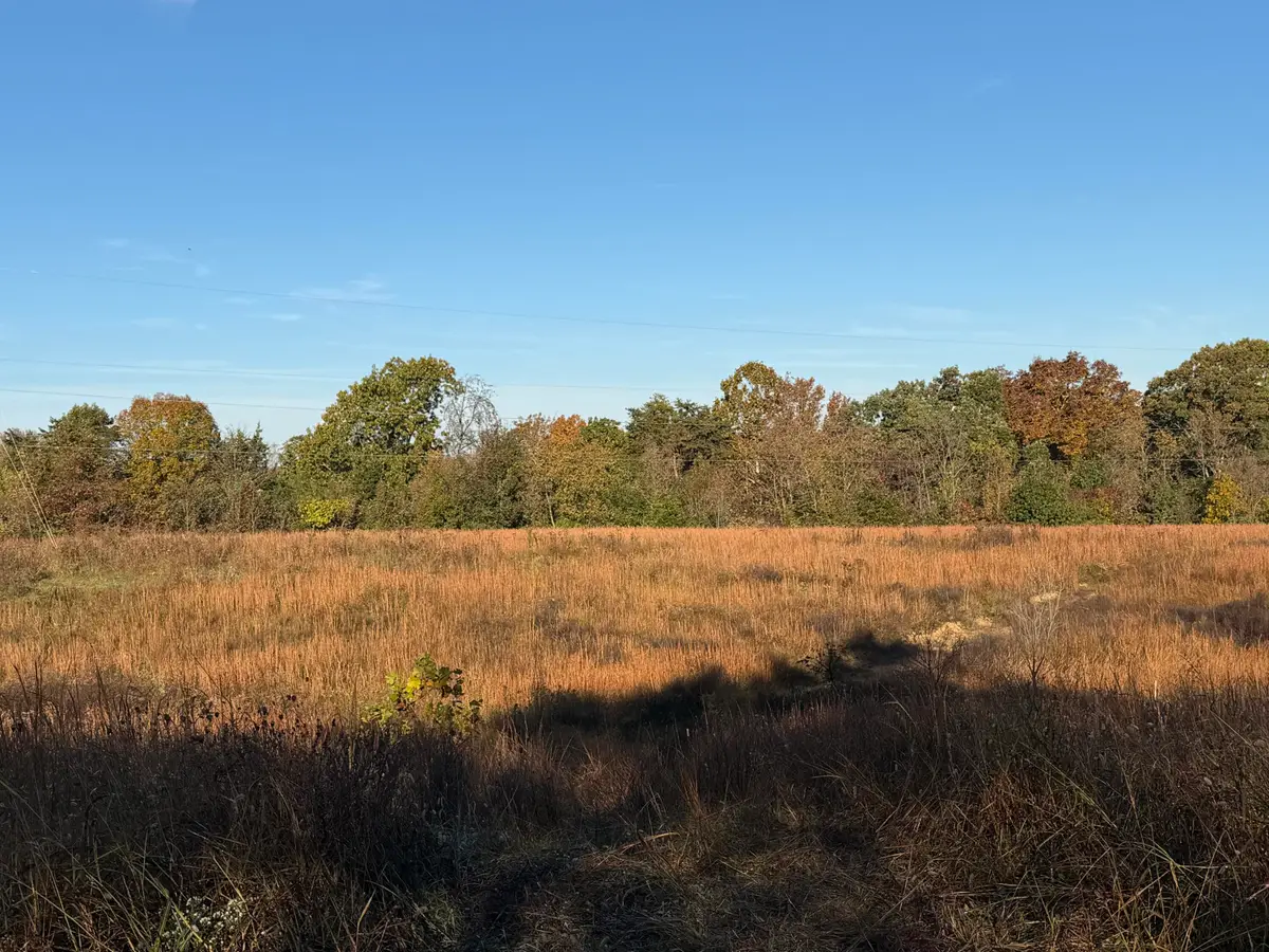 000 Dreyfus Road, Waco, KY 40385 - #1