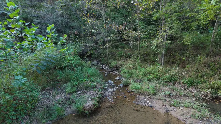 0 Ky 718 Highway, Flat Lick, KY 40935 - #3