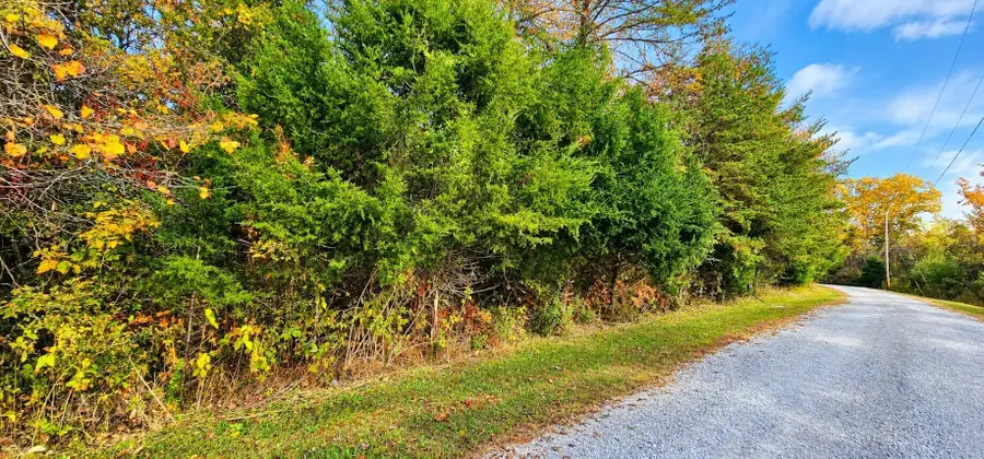 10 Buck Tail Drive, Burnside, KY 42519 - #2