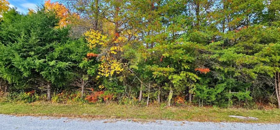 10 Buck Tail Drive, Burnside, KY 42519 - #3
