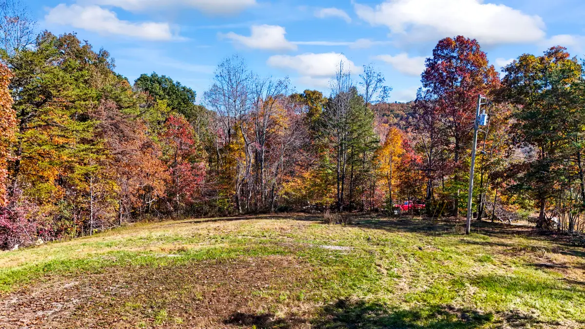 3495 E Fork Road, Means, KY 40346 - #1