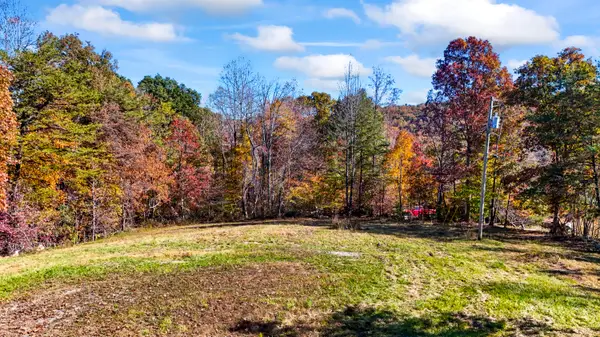 3495 E Fork Road, Means, KY 40346