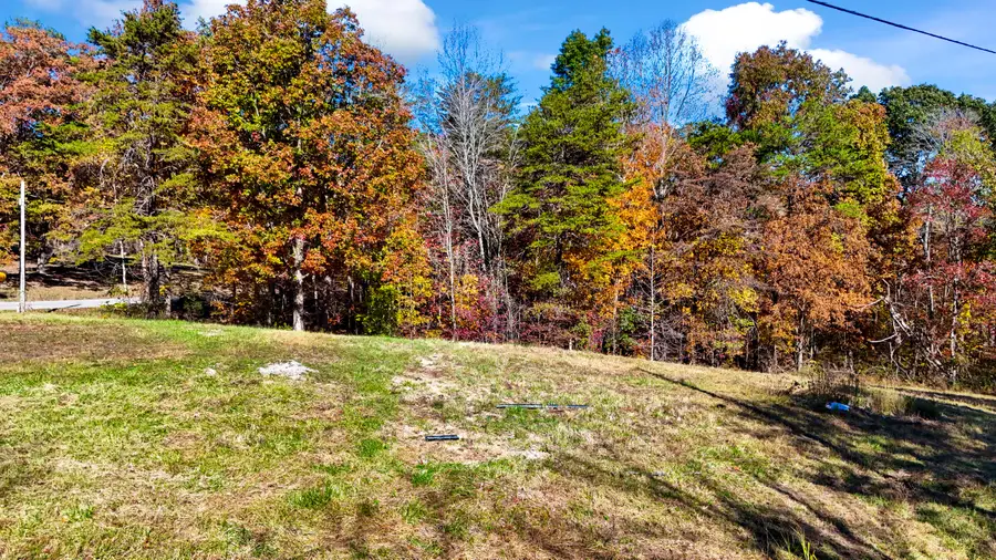 3495 E Fork Road, Means, KY 40346 - #2