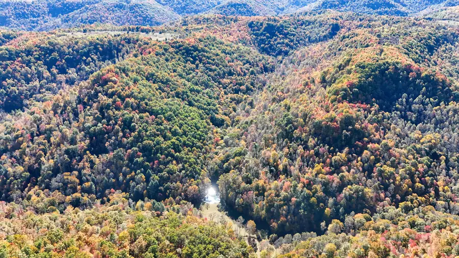 00 Trace Branch Road, Helton, KY 40840 - #2