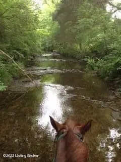 12880 S Pope Lick Rd, Louisville, KY 40299 - Image #1