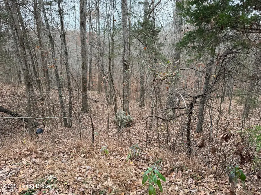 0 Sleepy Hollow Cir, Clarkson, KY 42726 - Image #3