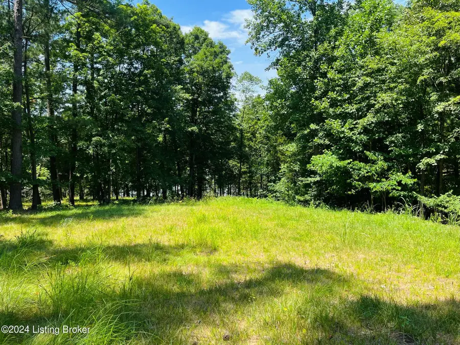 8 Marina Point Ln, Falls Of Rough, KY 40119 - Image #2