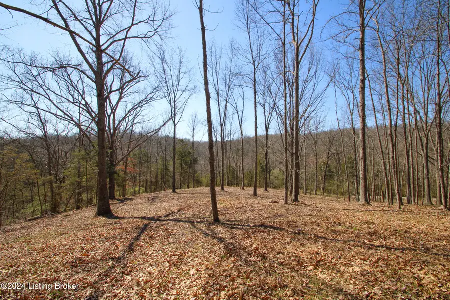 2011 W Hwy 524 #TRACT 2, La Grange, KY 40031 - Image #2