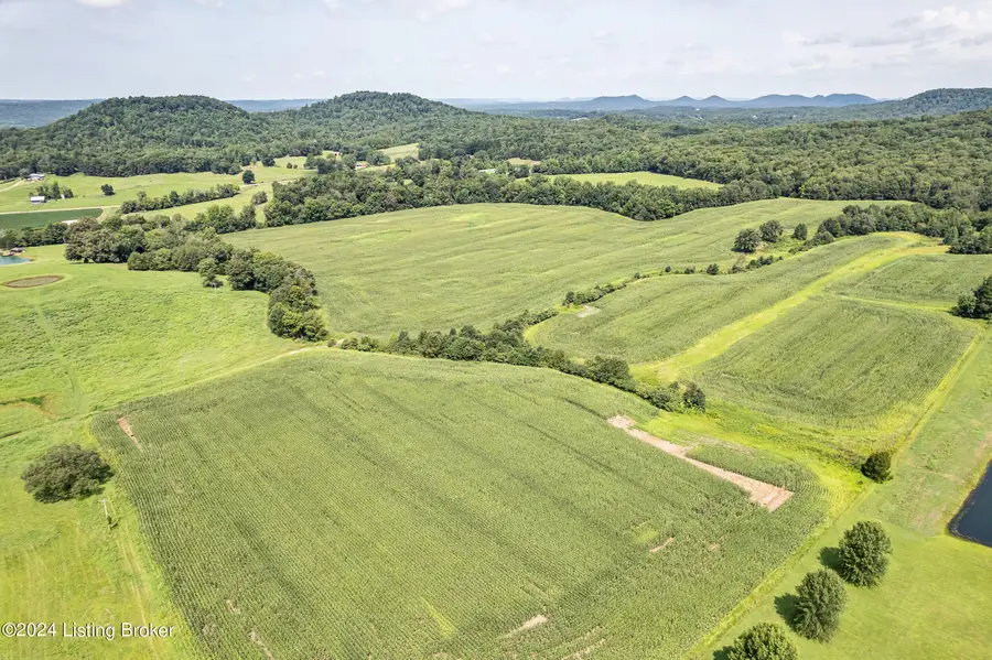 2234 New Hope Rd, New Haven, KY 40051 - Image #3