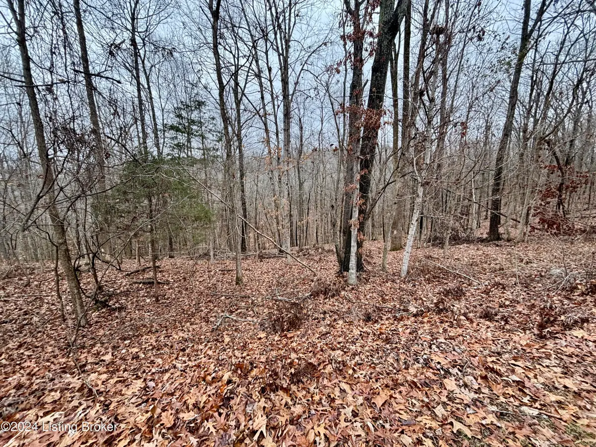 Lot 108 Sunnyview Rd, Brandenburg, KY 40108 - Image #1