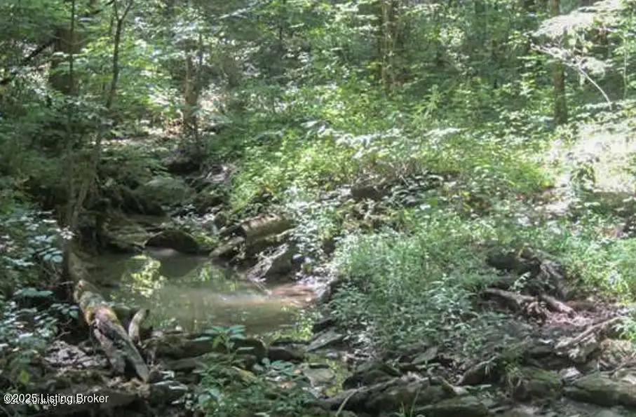 12 Vigo St, Bagdad, KY 40003 - Image #1