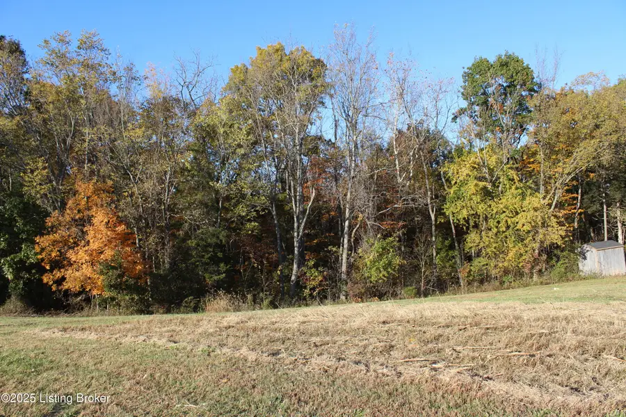 12 Vigo St, Bagdad, KY 40003 - Image #3