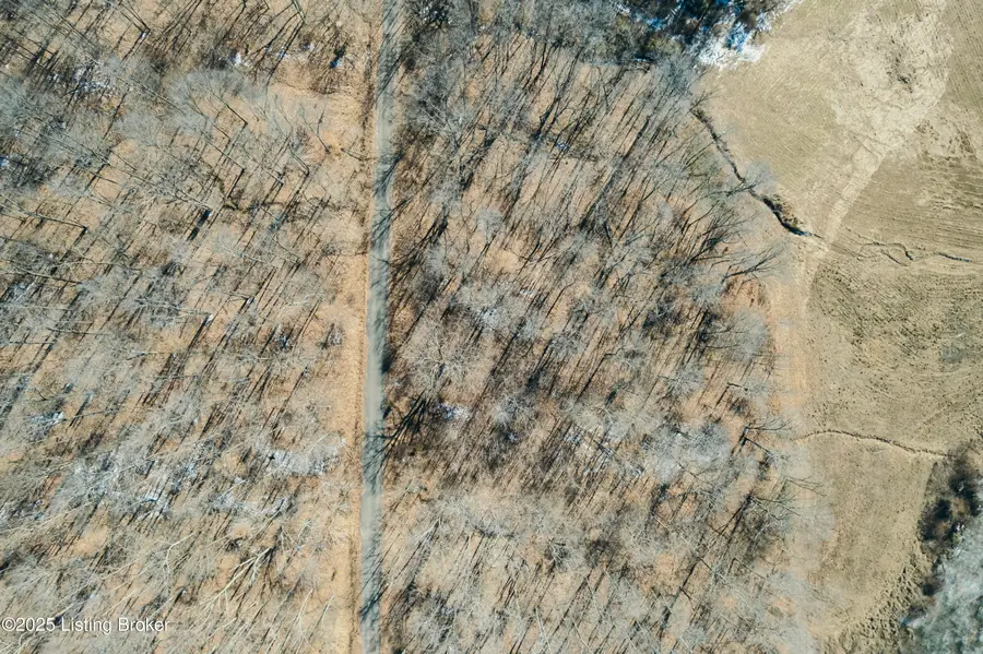 438 Ridenours Way, Falls Of Rough, KY 40119 - Image #3