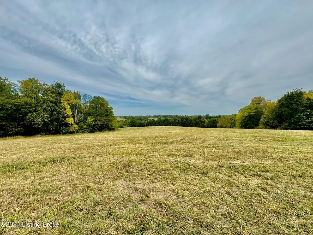 11 Hillsboro Ln, Springfield, KY 40069 - #1