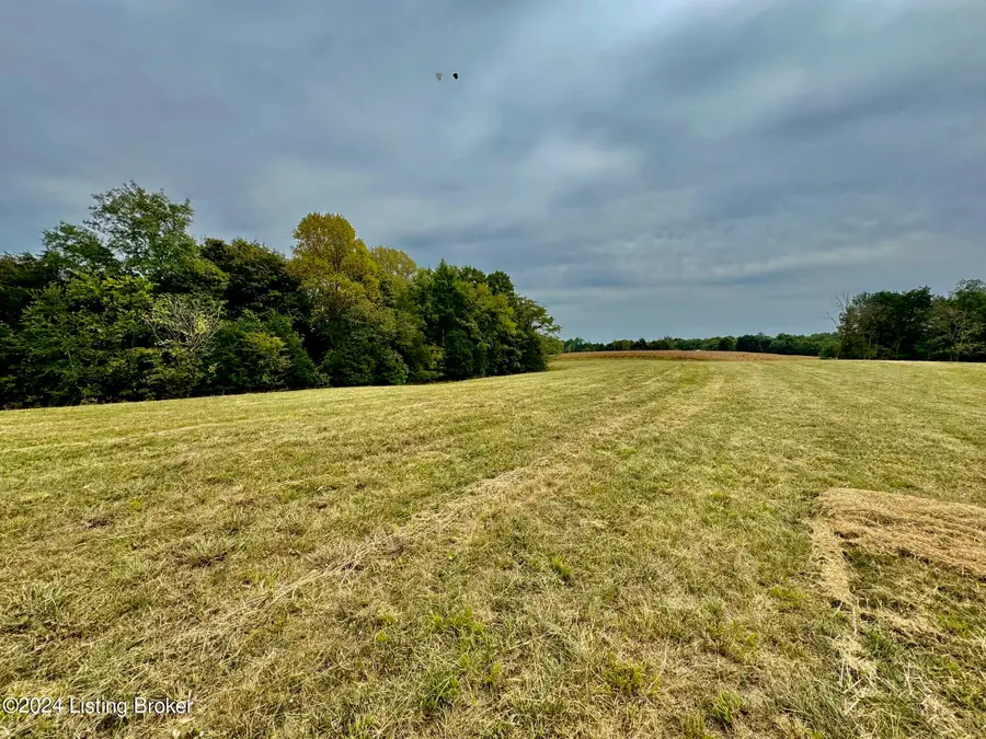 11 Hillsboro Ln, Springfield, KY 40069 - #2