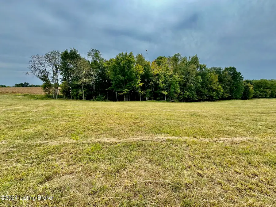 11 Hillsboro Ln, Springfield, KY 40069 - #3