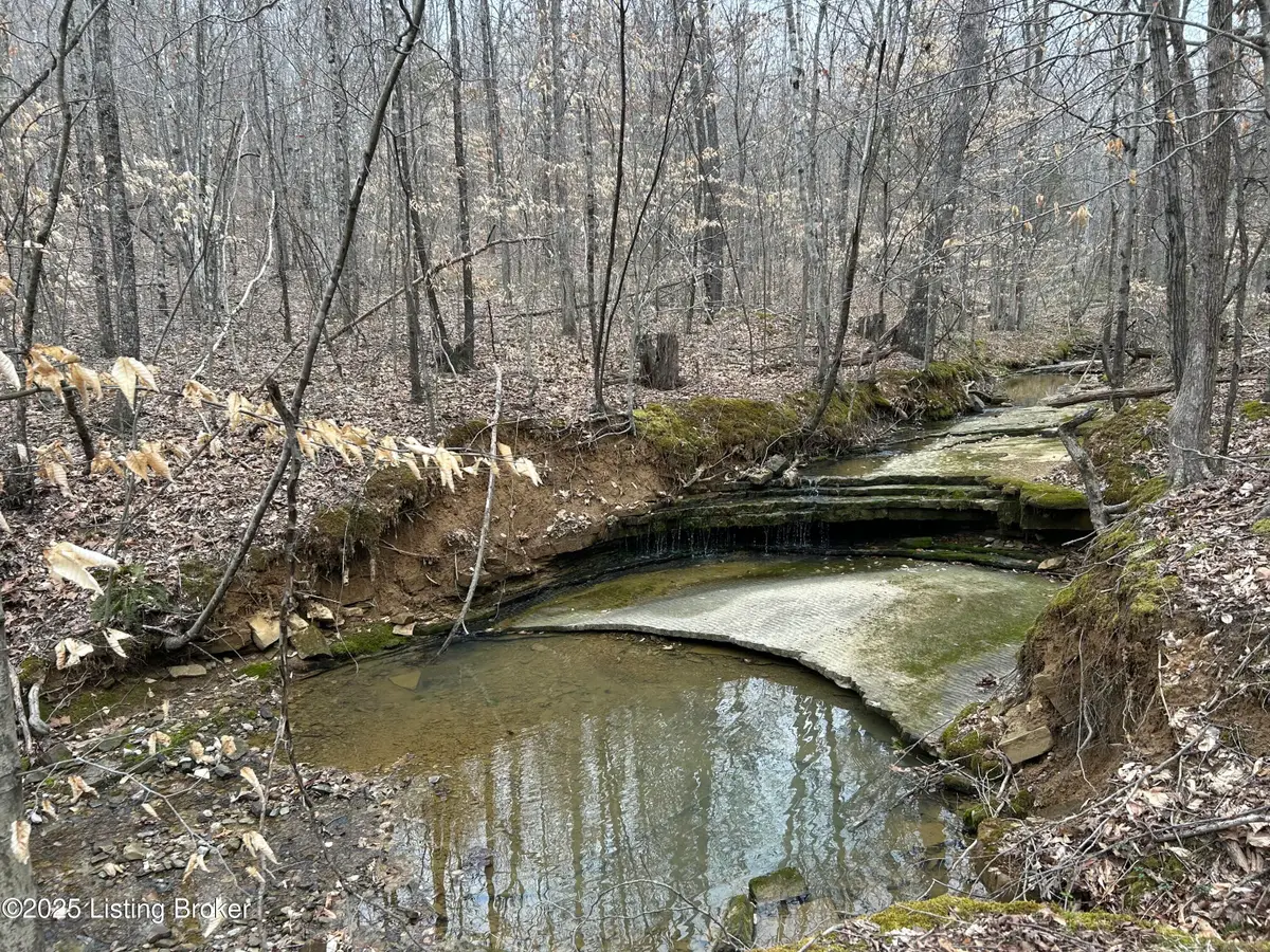 LOT 13&16 Saltsman Dr, Leitchfield, KY 42754 - #1
