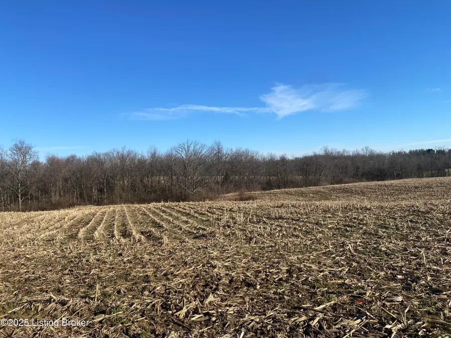 32 Beasley Ln, Sulphur, KY 40070 - Image #2