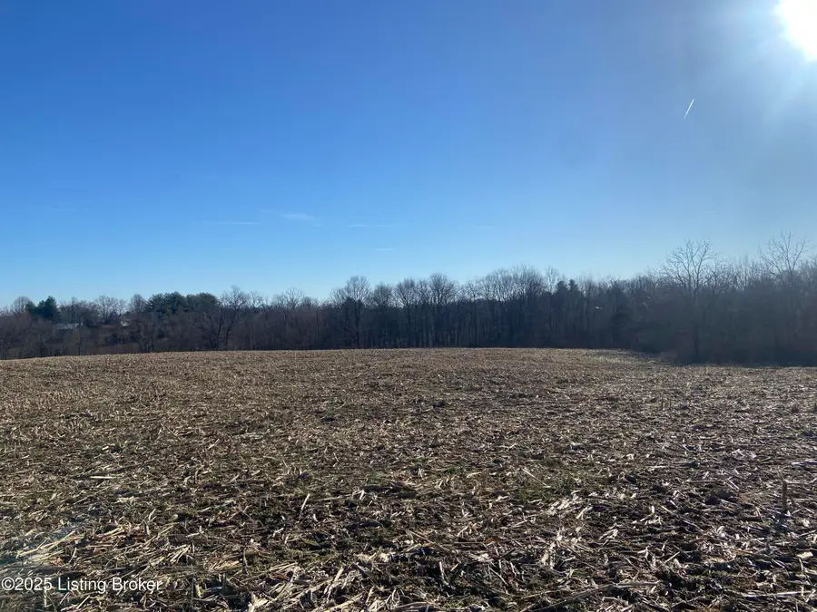 32 Beasley Ln, Sulphur, KY 40070 - Image #3