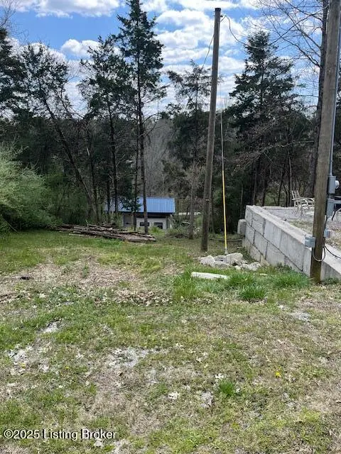 314 Needles Dr, Bagdad, KY 40003 - Image #3