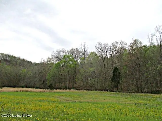 Lot 38 Sulphur Lick Rd, New Hope, KY 40052 - Image #1