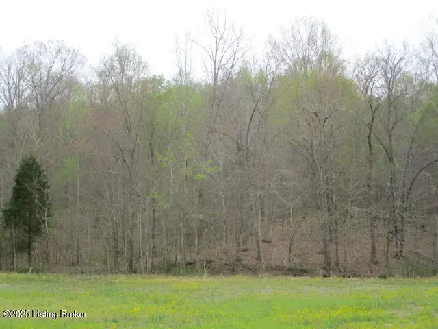 Lot 38 Sulphur Lick Rd, New Hope, KY 40052 - Image #2