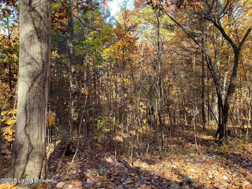 41-4 E Audobon Dr, Shepherdsville, KY 40165 - Image #3